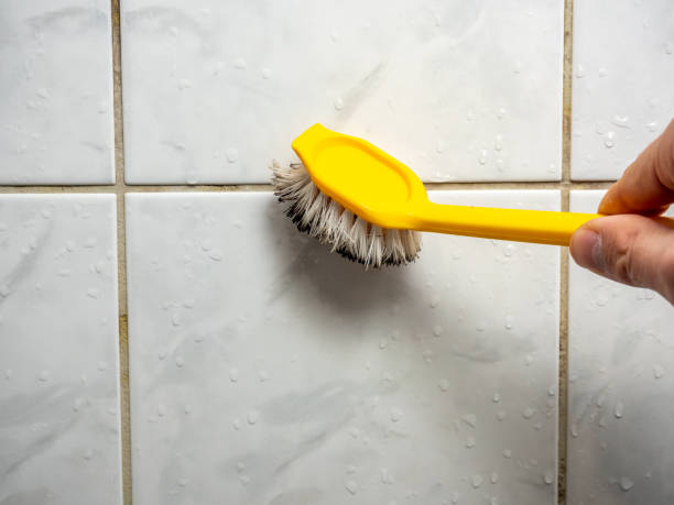 Best Mold Removal Company Near Me  in Homer, IL