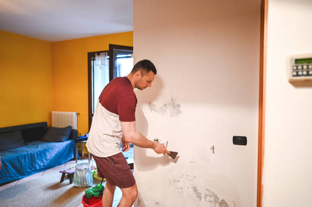 Mold Removal and Inspection in Homer, IL
